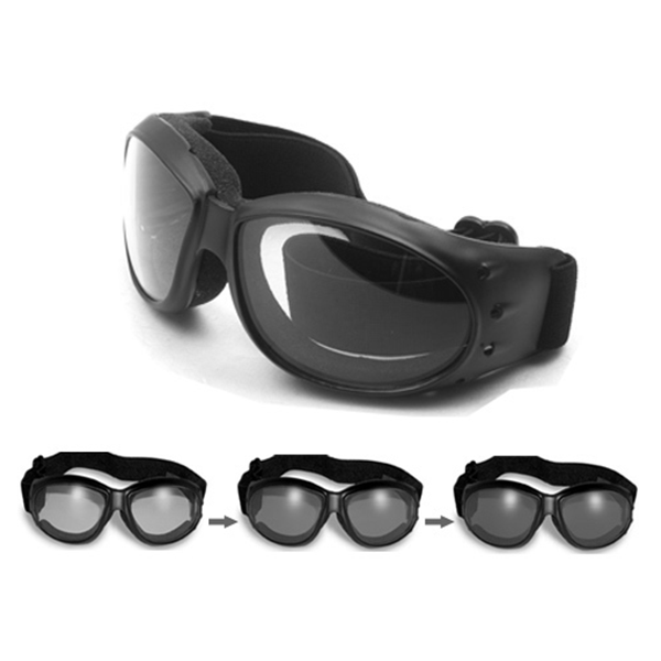 Daisy on the Ohoopee